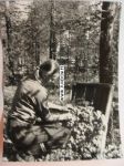 http://www.antikvariaatti.net/tuotekuvat/seller/pienpainate/14114.jpg