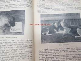 Katalog 43ij Leningradskoi gorodskoi vistavki slusebnih cobak 1972 god -Leningradin suuren koiranäyttelyn koirien luettelo, palkitut ym. -venäjänkielinen
