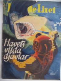 Levande Livet 1952 nr 44 - havets vilda djävlar, Västindisk magi, sarjakuvia, kertomuksia - ruotsinkielinen