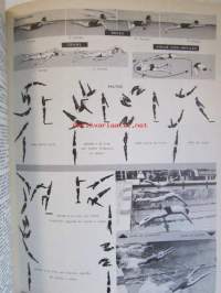Nuevo Larousse manual ilustrado - Sana- ja tietokirja selityksineen