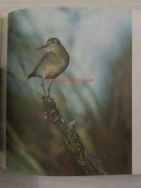 Laulava lintukirja - Lajinkuvaukset