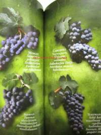 Viinistä viiniin 2006 - Viininystävän vuosikirja