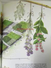 Planera trädgård
