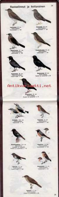Pieni lintuopas, 1986.  Tässä kuvitetussa pienoisoppaassa on esitetty Suomen tavallisimmat linnut luonnossa tapahtuvan tunnistamisen avuksi.  Mukaan on valittu