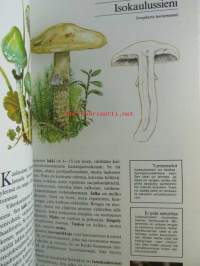 Sienestäjän tietokirja - Tunnista, poimi, herkuttele