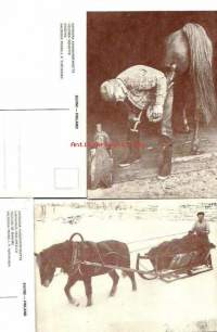 Hevosen kengitys ja lannanajo  -  postikortti  2 eril