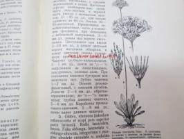 Flora Sibiri i dalnevo vostoka - isdavaemaja botanizeskij museem akademi nauk -Siperian ja Kauko-Idän kasvillisuus - kasvitieteellisen museon julkaisusarjan osa,