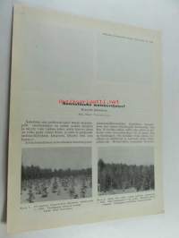 Kannattaako metsänviljelys ?, eripainos Suomen Puu 1933 nr 6