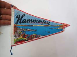Hammerfest -matkamuistoviiri