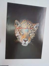 Jaguar mallisto -myyntiesite