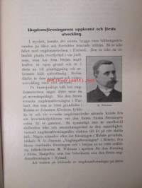 Ungdomsrörelsen i svenska Nyland 1889-1914 -Nuorisoseuratoimintaa ruotsinkielisellä Uudellamaalla 1889-1914