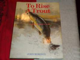 to rise a trout