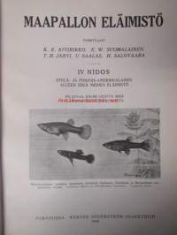 Maapallon eläimistö IV Nidos - Etelä- ja pohjois-amerikkalaisen alueen sekä merien eläimistö