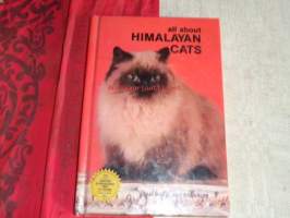 all about himalayan cats