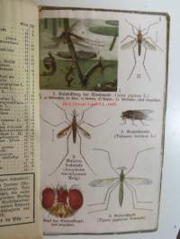 Schreibers kleiner atlas der INSEKTEN tausendiüssler und spinnen- Hyönteiset, tuhatjalkaiset ja hämähäkit, korennot