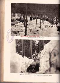 Suomen vapaussodan historia, 1938