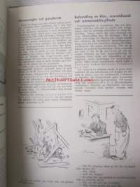 Olycksfallsskyddet 1941 / Tapaturmasuojelu -sidottu vuosikerta -annual volume