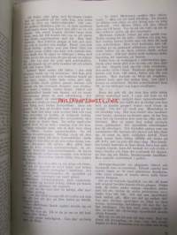 Olycksfallsskyddet 1941 / Tapaturmasuojelu -sidottu vuosikerta -annual volume