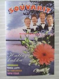 Lasse Hoikka &amp; Souvarit - Hallayön kukka VMC-28 -C-kasetti