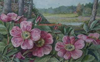 Alfred Scheack,   Kedon kukkia   alkuperäismaalaus, postikortin originaali,   kehystetty koko 35x28 cm, kuvakoko 20x13 cm , mukana seuraa maalauksesta tehty