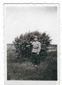 Paavo ottaa paukut - valokuva 6x9 cm