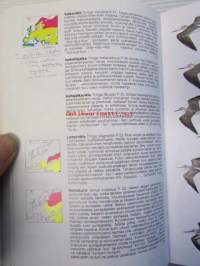 Euroopan lintuopas - Maastokäsikirja