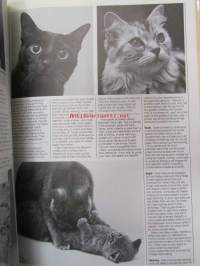 A CAT of your own - A partial guide to selecting and caring for the cat most suited to you and your home