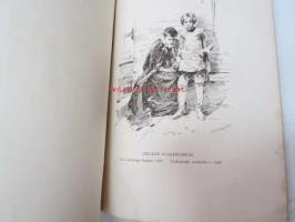Illustrerad katalog till Finska Konstutställningen 1885 - Kuvillinen luettelo Suomen Taidenäyttelystä v. 1885, sisältää taiteilijoiden henkilö- ym. tietoja