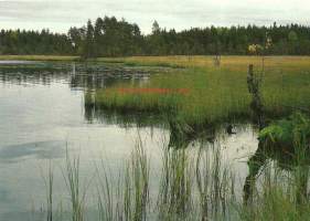 Parkano Kourajärvi - paikkakuntapostikortti