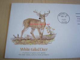 White-Tailed Deer, valkohäntä peura, American Wildlife, 1981, USA, ensipäiväkuori, FDC. Katso myös muut kohteeni, noin 1 200 erilaista amerikkalaista