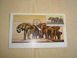 African Elephant Herd, 1970, USA, ensipäiväkortti, FDC, hieno. Katso myös muut kohteeni, mm. noin 1 200 erilaista amerikkalaista ensipäiväkuorta 1920-luvulta
