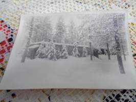 Valokuva Hyrynkangas talvella 1943