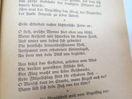 Sonnenstürmer - Otto Lilienthal und sein Erbe -ilmailun historiaa sovellettuna Suur-Saksan (Natsi-Saksan) näkökulmiin -aviation history in Nazi-German point of wiew