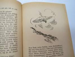 Sonnenstürmer - Otto Lilienthal und sein Erbe -ilmailun historiaa sovellettuna Suur-Saksan (Natsi-Saksan) näkökulmiin -aviation history in Nazi-German point of wiew