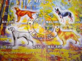 Koira, 4 postimerkin arkki, leimattu, vuodelta 2012, Malawi, hieno. Katso myös muut kohteeni mm. noin 1200 erilaista amerikkalaista ensipäiväkuorta 1920-luvulta