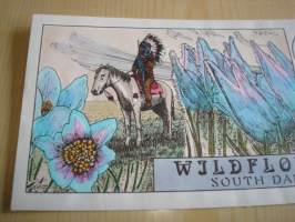 South Dakota, Wildflowers, Intiaani,1992, USA, ensipäiväkuori, FDC, käsinmaalattu ja signeerattu kuori, hieno. Katso myös muut kohteeni mm. noin 1200 erilaista