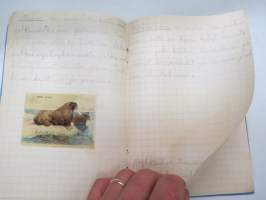 Eläinoppi vihko - tyypillinen kouluvihko, jossa tekstiä elävöittämässä pari kiiltokuvaa eläimistä -school notebook