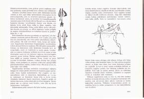 Kalamiehen käsikirja, 1956. 2. painos. 298 valokuvaa ja piirrosta