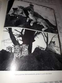 Pippa savannien kaunotar/ Jou Adamson, p. 1970.
