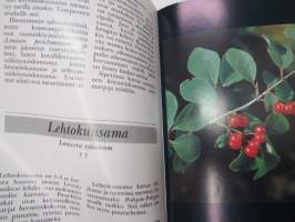Mihin marjamme kelpaavat -finnish berries