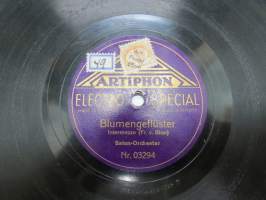 Artiphon Electro Special Nr. 03293 - Aufzug der Stadtwache - Blumengeflüster -savikiekkoäänilevy / 78 rpm record