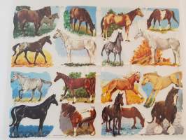 Kiiltokuva-arkki, hevoset, MLP, painettu Englanti