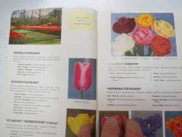 Hortus tulppaanit &amp; liljat -tuoteluettelo / flower catalog