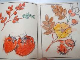 Hedelmiä maalauskirja - Frukter målarbok -värityskirja - Kuvataide 26