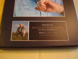 Sir David Attenborough, canvastaulu, koko 20 cm x 30 cm. Teen näitä vain 50 numeroitua kappaletta. Yksi heti valmiina lähetettäväksi.