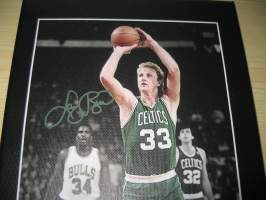 Larry Bird, Boston Celtics, NBA, canvastaulu, koko 20 cm x 30 cm. Tehty 50 numeroitua kappaletta. Hieno esim. lahjaksi.