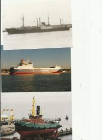Harry, Elisabeth Global Freighter  laivavalokuva  valokuva  3 kpl