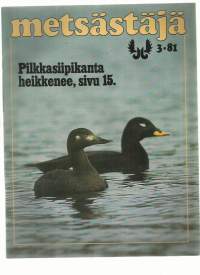 Metsästäjä 1981 nr 3 / Pilkkasiipi, rekyyli, asekauppa, talviruokinta, jänis,