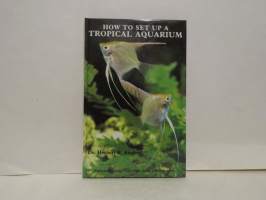 How to set up Tropical Aquarium