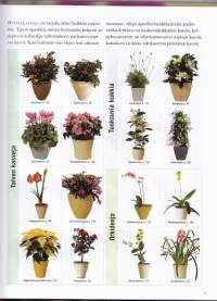 Helpot huonekasvit, 2007. 1.p.Käytännöllisten ohjeiden ja neuvojen avulla onnistut kotisi kasvien valinnassa, kasvattamisessa, hoitamisessa ja sijoittelussa.